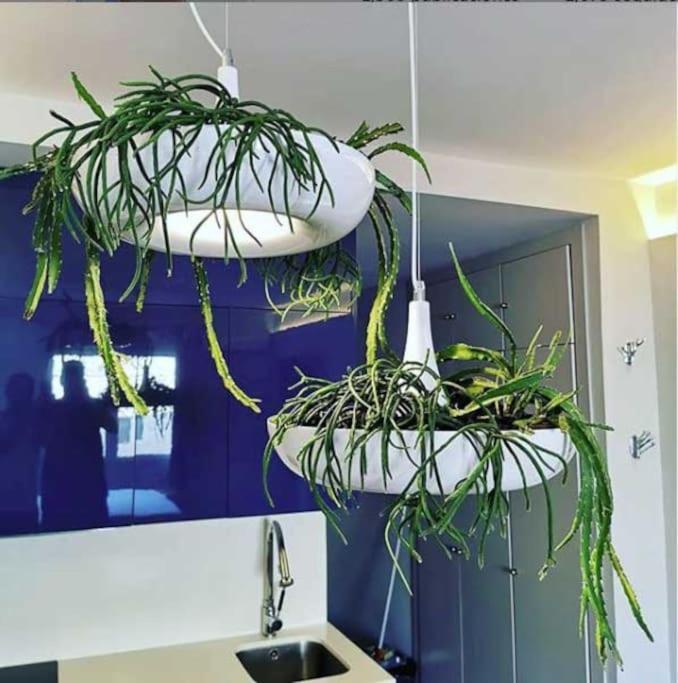 Apartamento Por Temporada Centro Diseno Madrid Dış mekan fotoğraf